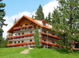 Hotel Jenišov, hotel v destinaci Horní Planá