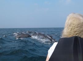 Kalpitiya Guest House