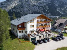 Hotel Alpenrose, hotel cerca de Lärchkogellift, Tauplitzalm