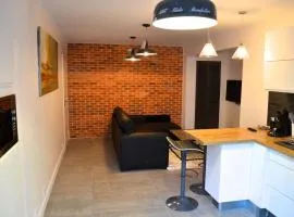 Wood & Bricks, appartement 1 chambre au calme - centre ville - Wifi