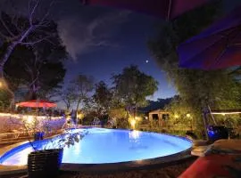 Discovery Island Resort