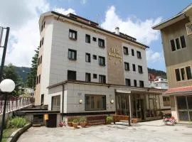 Hotel Da Remo