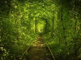 Hotel Tunnel of Love
