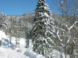 Gite IM-BERG