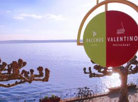 Hotel Bacchus Wine & Bites, Hotel in Meersburg