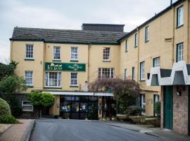 Ivy Bush Royal Hotel by Compass Hospitality, hotel in Carmarthen