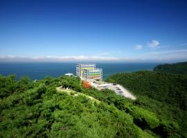 Haslla Art World Museum Hotel, hotel din apropiere 
 de Haslla Art World, Gangneung