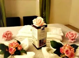 Nerva Accommodation