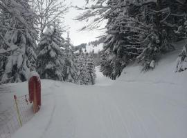 Les Brettaz, ski resort in Bellevaux