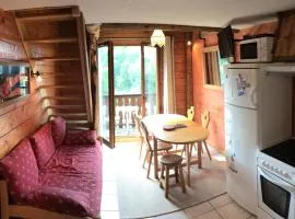LES CARROZ LE LAYS cosy apartment 40M2 vue montagne plein sud