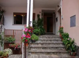 Casa Violeti 1