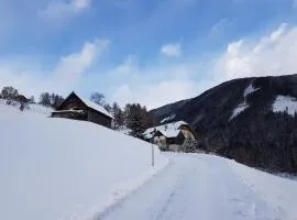 Ferienwohnung Biohof Laußnitzer in Rennweg