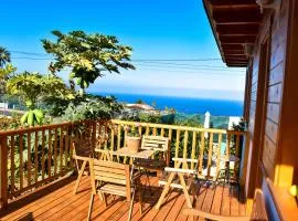 Chalet Las Viñas 2