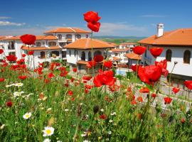 The Vineyards Boutique Hotel & SPA, hotel din Aheloi