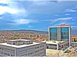 Grand Asya Hotel, hotel em Bandirma