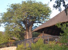 Adansonia Eco Lodge, hotel in Musina