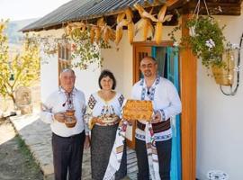 Pensiunea turistica "Casa rustica", בית נופש בChişcăreni