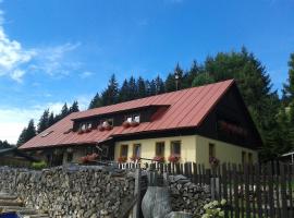 Pension Arnika, pet-friendly hotel in Modrava