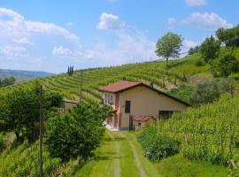 Cascina tra i vigneti a Nizza Monferrato, hotel in Nizza Monferrato