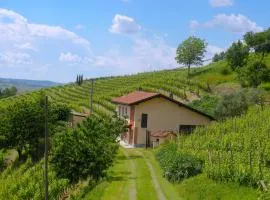Cascina tra i vigneti a Nizza Monferrato
