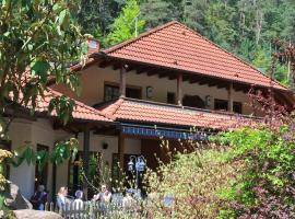 Landgasthof Am Teufelstisch, hotel v destinaci Hinterweidenthal