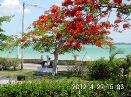 COPPER HORSE INN, Hotel in Corozal