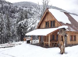 Dolomiti Village: Comeglians'ta bir otel