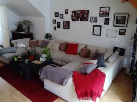 Chez Mag, homestay in Lille
