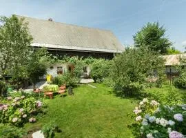 House, Garden and a Green Cat