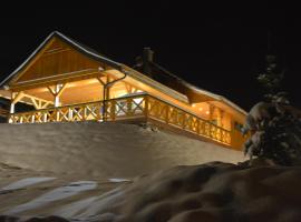 Pod Zielonym Dachem, hotel in Kamienna Góra
