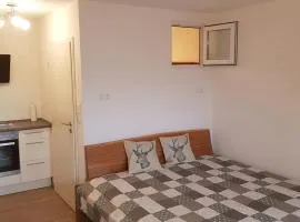 Berghof Appartement Top 22