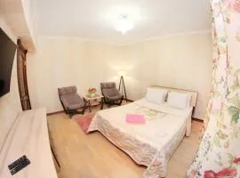 1BR apartment in the centre, Nazarbaev 42A