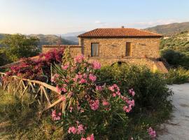 Casa vacanze Il Mandorlo, vila v destinácii Perdifumo