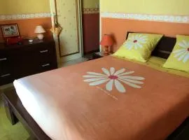 Chambre et pièce confort