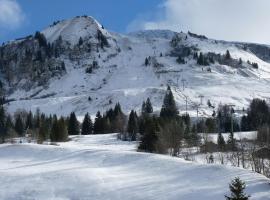 Les Amborzales, hotel La Mulaterie Ski Lift környékén Le Grand-Bornand-ban