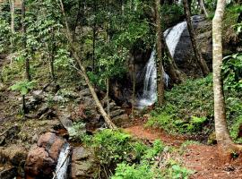 Karadikallu Homestay - Private Waterfalls & Guided Trek, hotel in Sakleshpur