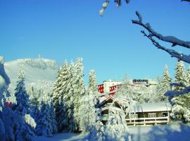 Thon Hotel Skeikampen, отель в городе Свингволл, рядом находится Горнолыжный курорт Скейкампен