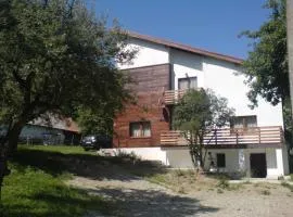 Casa Ambasadorului