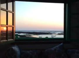 Ocean Sunshine