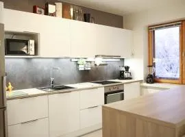 Studio City Borealis