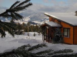 Коттедж для отдыха Дискавери, hotel u gradu 'Yablunytsya'