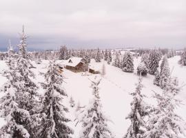 Cabana Dia Belis, lodge i Beliş