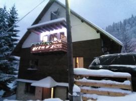 Apartman Vila Natasa, hotel v destinaci Kopaonik