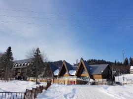 PANORAMA By Mgzavrebi, hotel u gradu Bakuriani