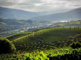 Quinta do Vallado - Douro Wine Hotel: Peso da Régua şehrinde bir otel