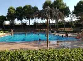 Camping Fayón Fishing