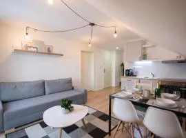 Nordic House