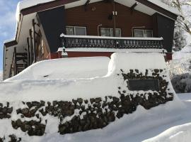 Myoko Ski Lodge in Akakura Village, hotel em Myoko