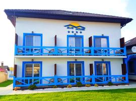 Pensiunea Blue House, Pension in Murighiol