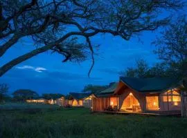 5 hotel in Serengeti National Park 5 hotel in Serengeti National Park